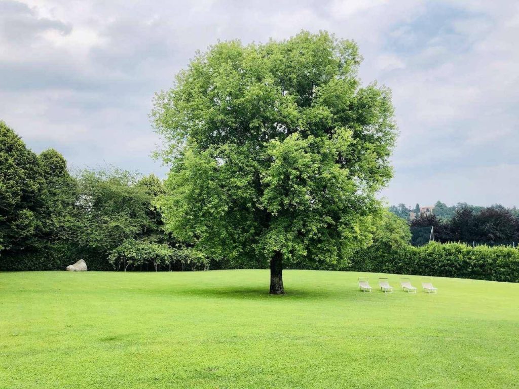 Proprietà di prestigio. Villa